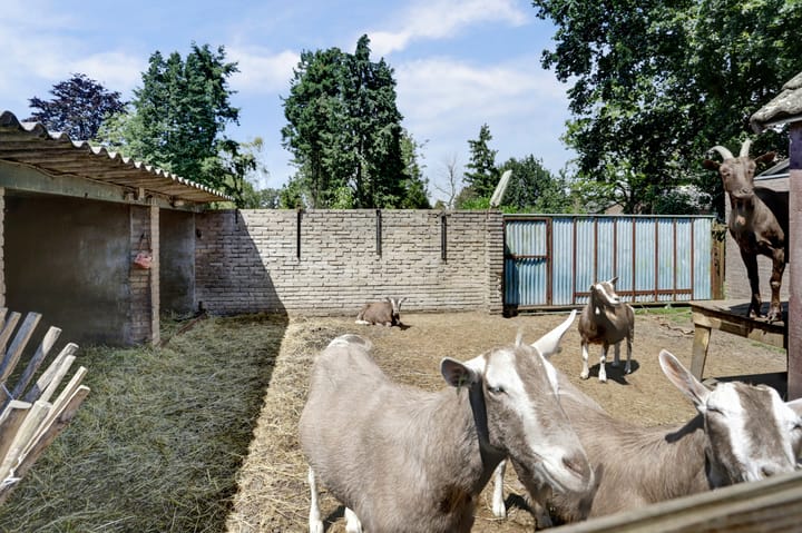 Foto 34 van Weebosch 80