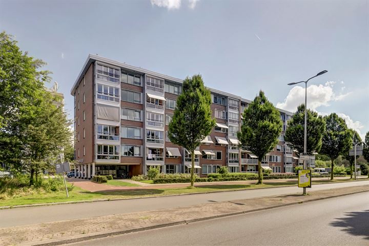 View photo 1 of Plantageweg 121