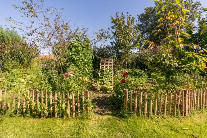 Photo 66 of Brinkweg 9-A