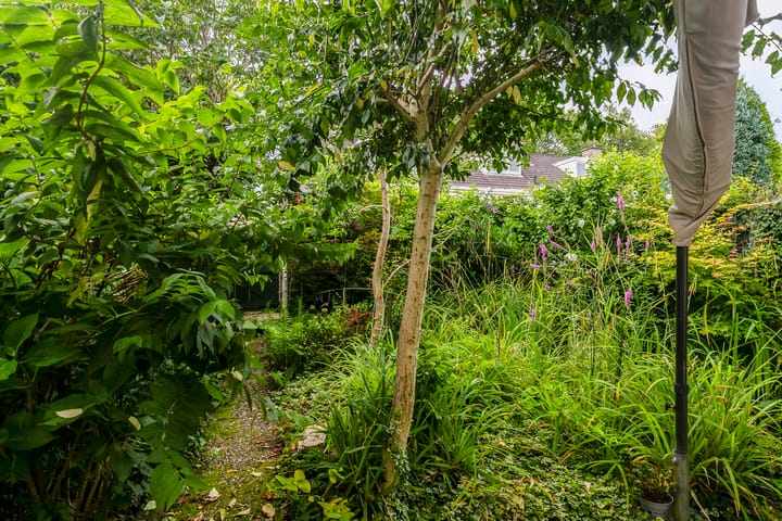 Foto 3 van Archimedeslaan 52