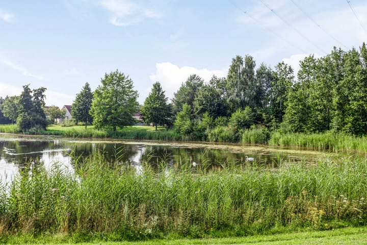 Photo 33 of Schutteheide 1-243