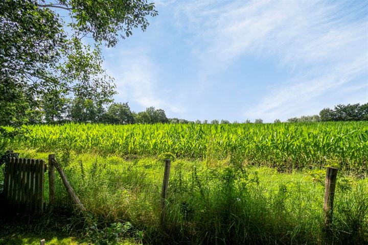 Bekijk foto 37 van Randweg 65