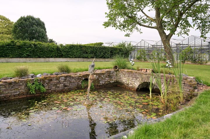 Foto 36 van Waalstraat 4