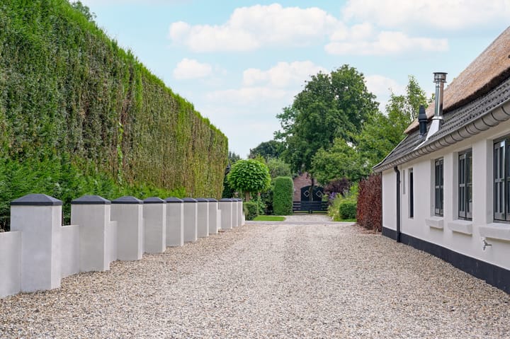 Foto 48 van Waalstraat 4