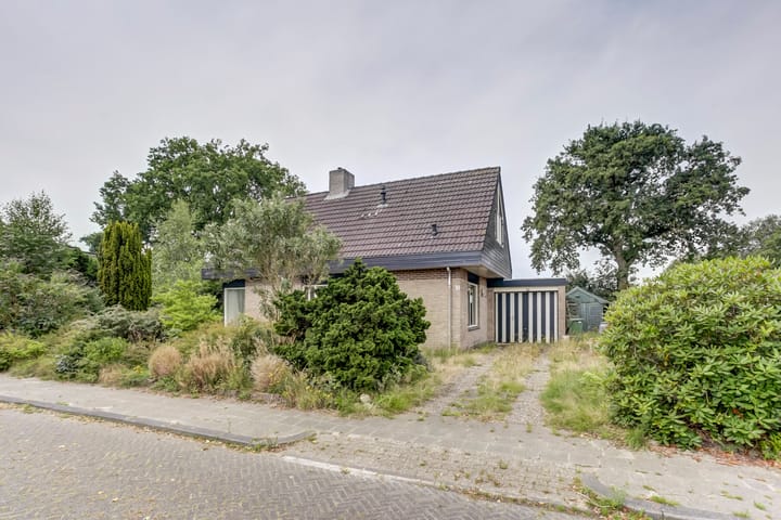 undefined main image