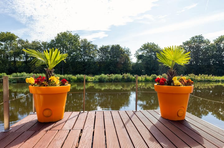 Foto 39 van Noordervaartdijk 30-D