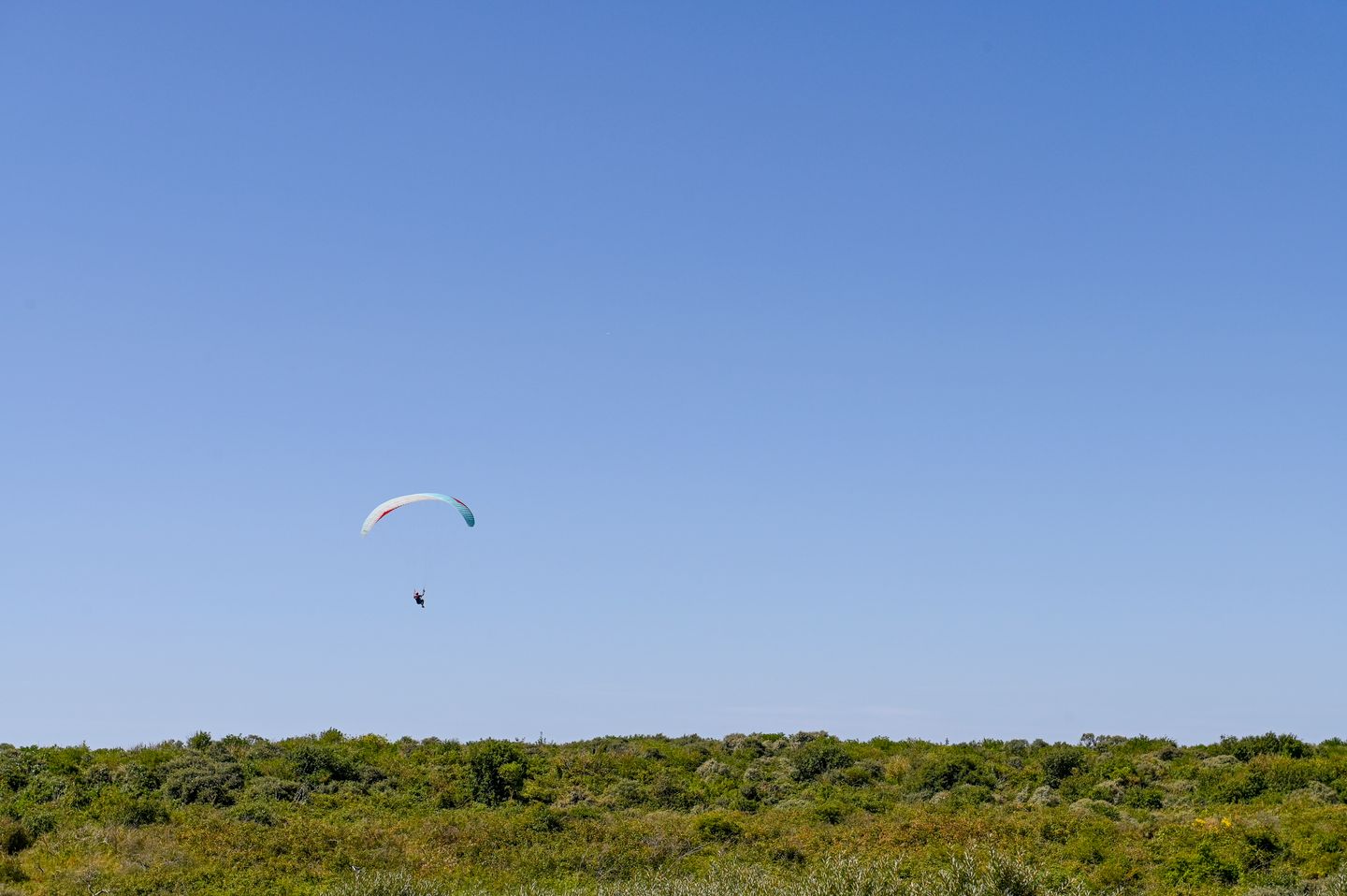 Foto 50 van Torenweg 57