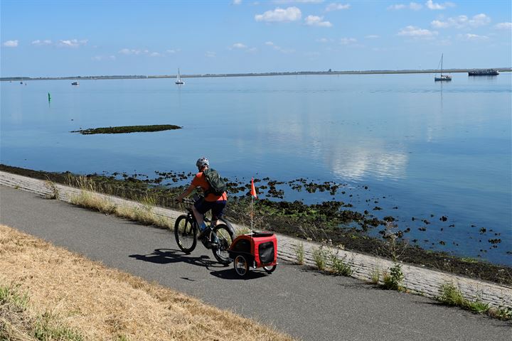 Bekijk foto 52 van Torenweg 57