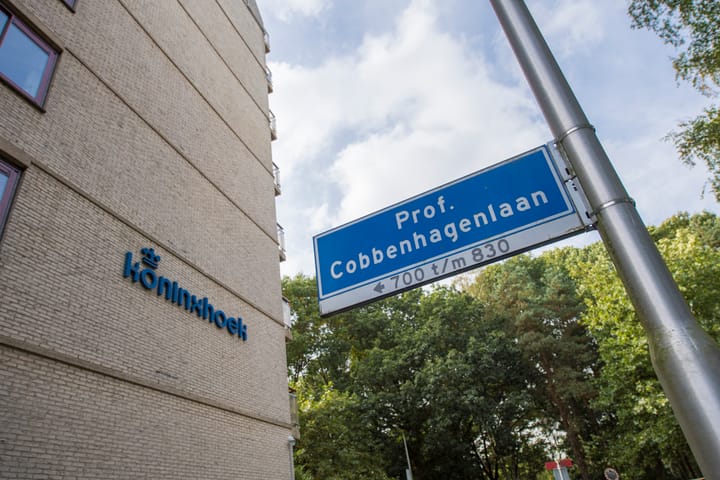 Photo 33 of Professor Cobbenhagenlaan 766