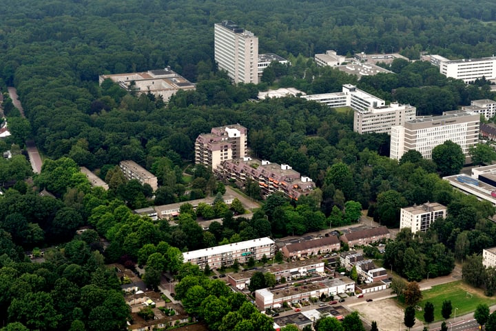 Bekijk foto 48 van Professor Cobbenhagenlaan 766