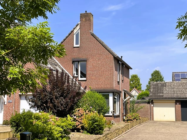 undefined main image