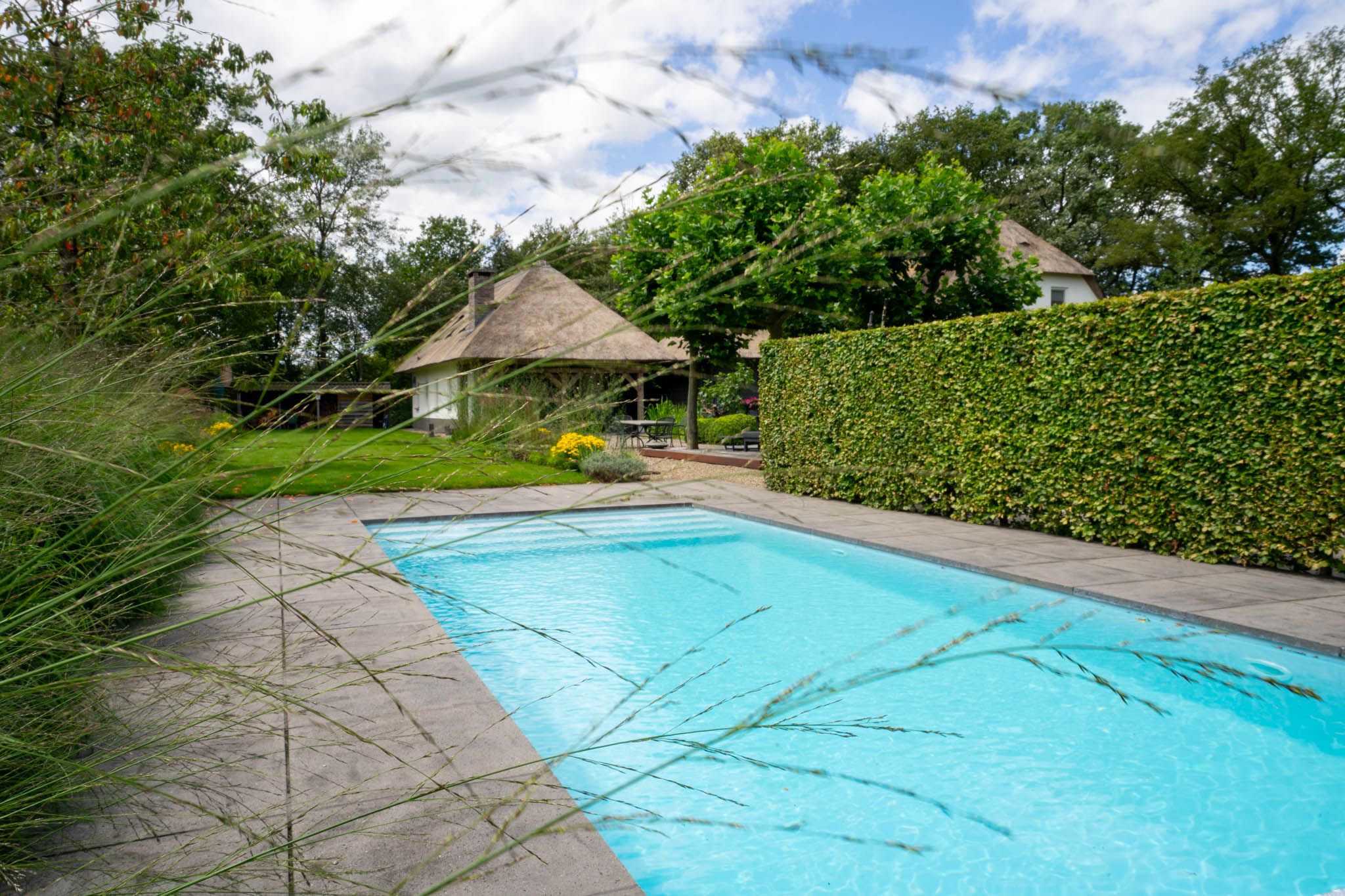 Foto 3 van Milschot 50