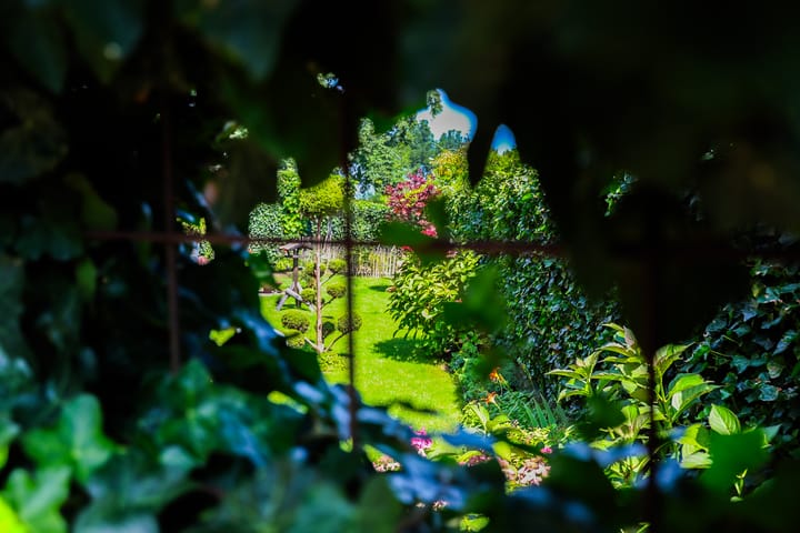 Foto 40 van Katwoudestraat 2