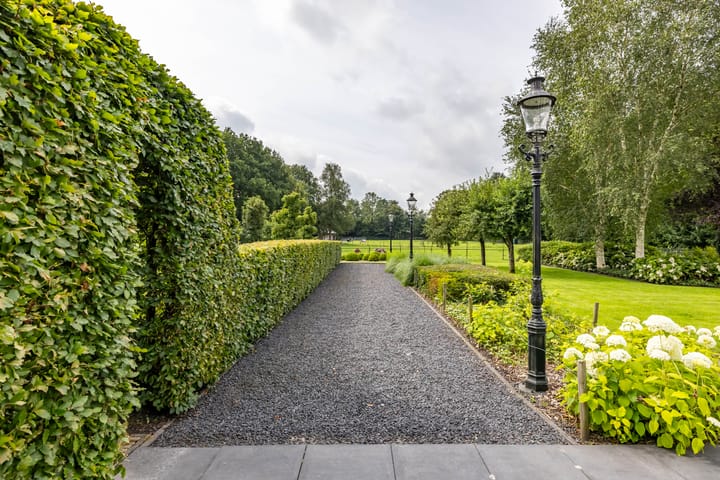 Foto 42 van Oudestreek 1