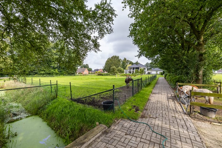 Foto 47 van Oudestreek 1