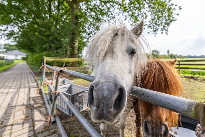 View photo 48 of Oudestreek 1