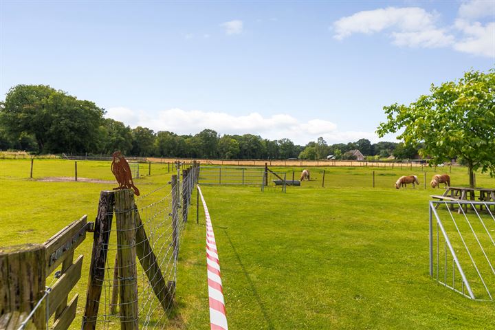 Bekijk foto 48 van Bergakkerweg 22