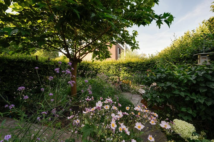 Foto 61 van Tijpoort 30