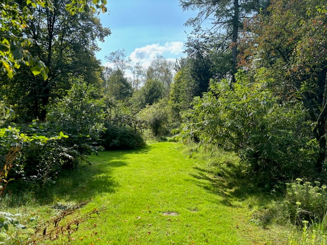 Bekijk foto 1 van Knoevenoordstraat