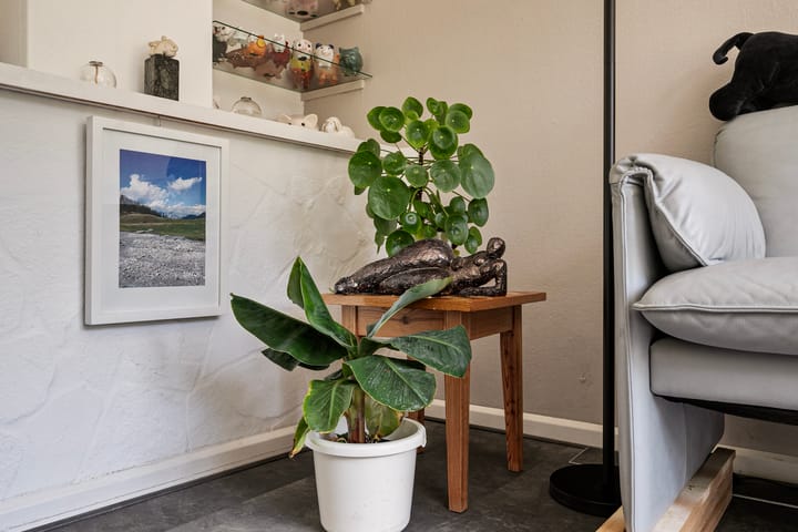 Foto 16 van Scherpenzeelseweg 26