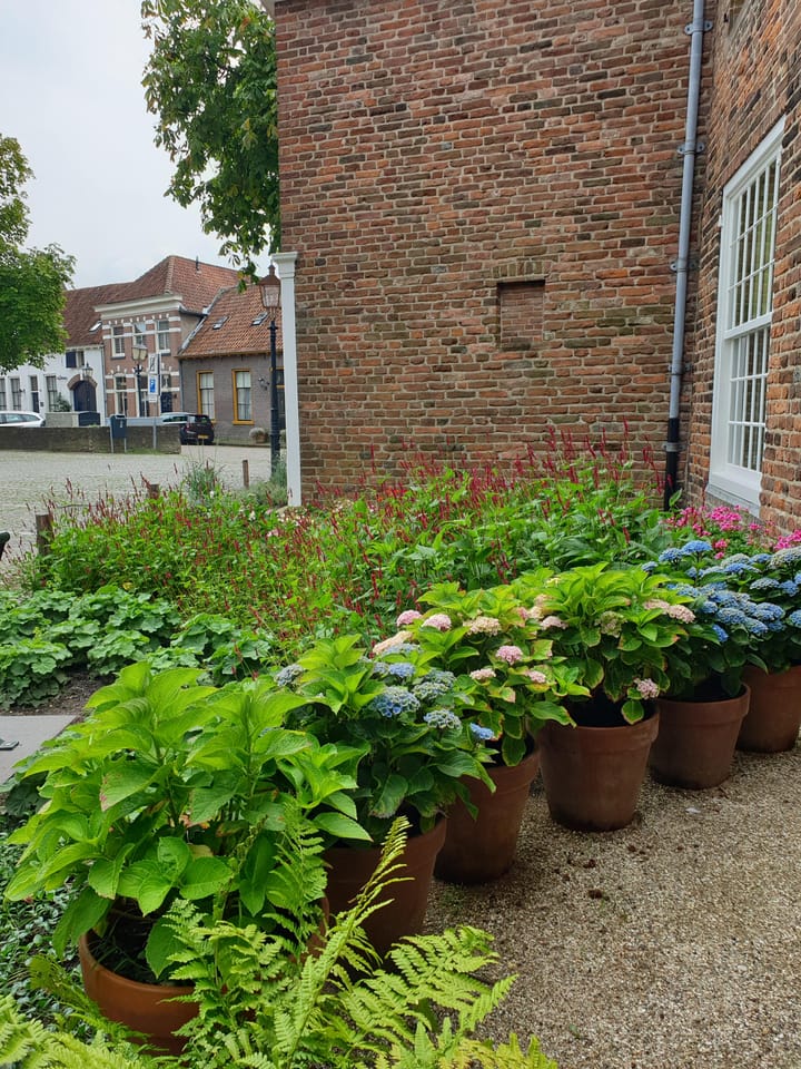 Foto 7 van Kosterstraat 36