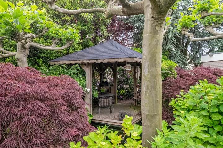 Foto 46 van Broekdijk 40-D