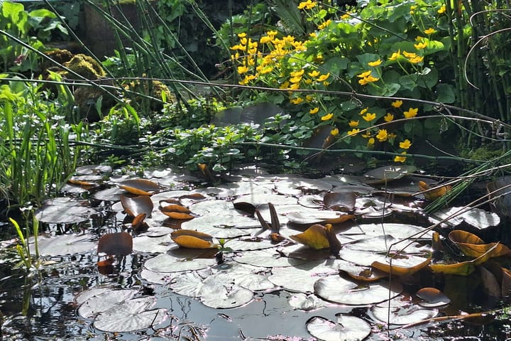 Foto 49 van Broekdijk 40-D