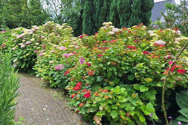 Foto 52 van Broekdijk 40-D