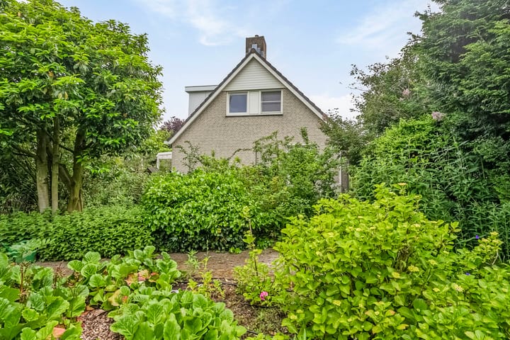 Foto 59 van Broekdijk 40-D