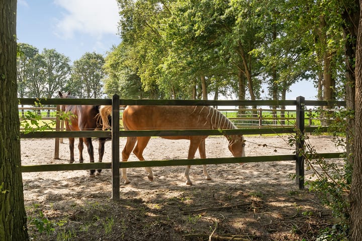 Foto 46 van Espelerpad 7