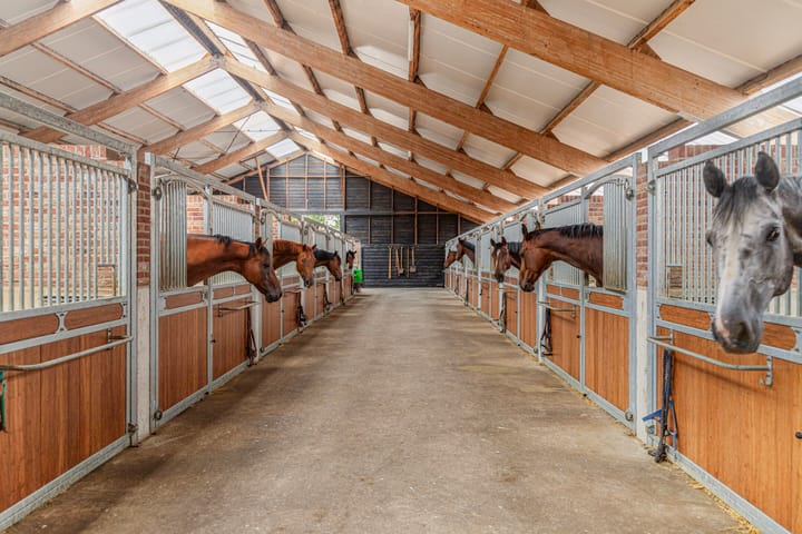 Photo 2 of Wierkstraat 8