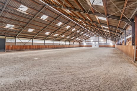 undefined main image