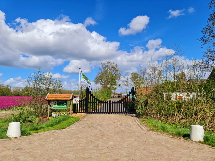 Foto 2 van Ruttensepad 14