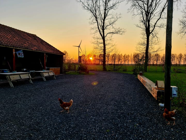 Foto 59 van Ruttensepad 14