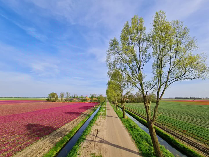 Foto 61 van Ruttensepad 14