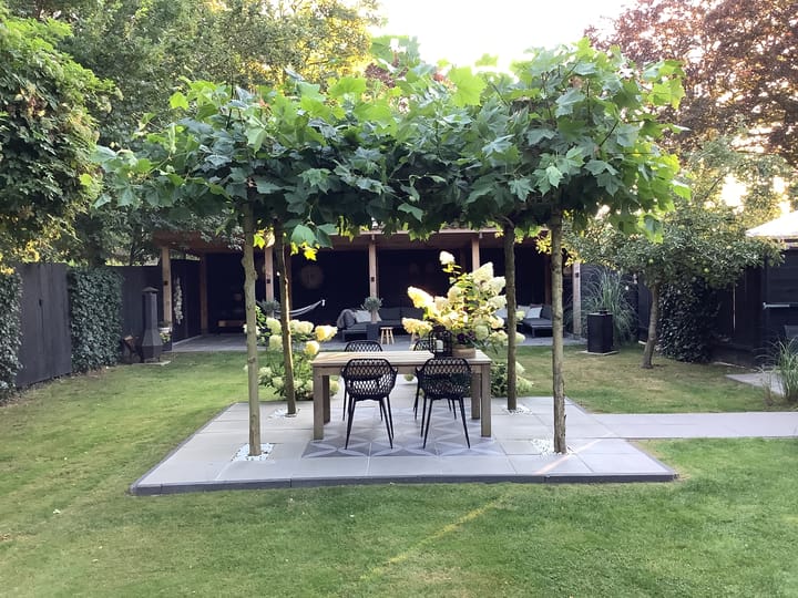 Foto 64 van Norgerweg 133