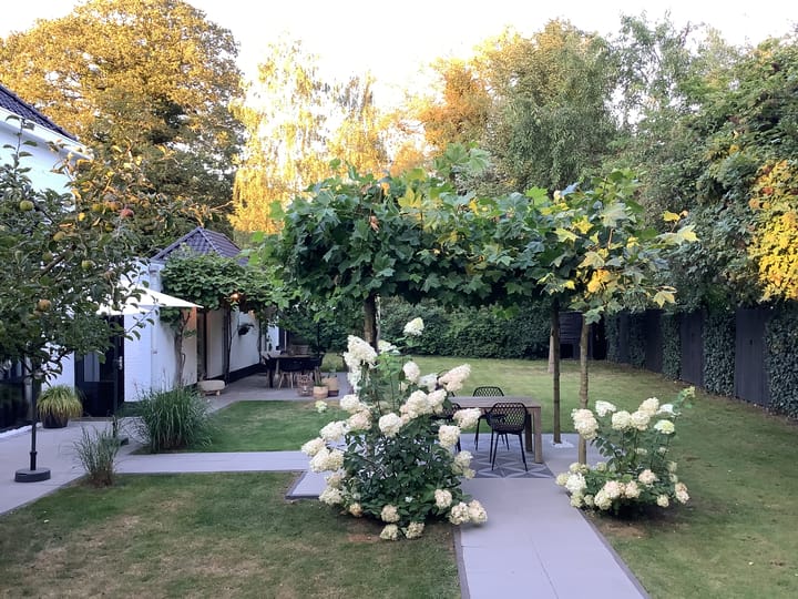 Foto 56 van Norgerweg 133