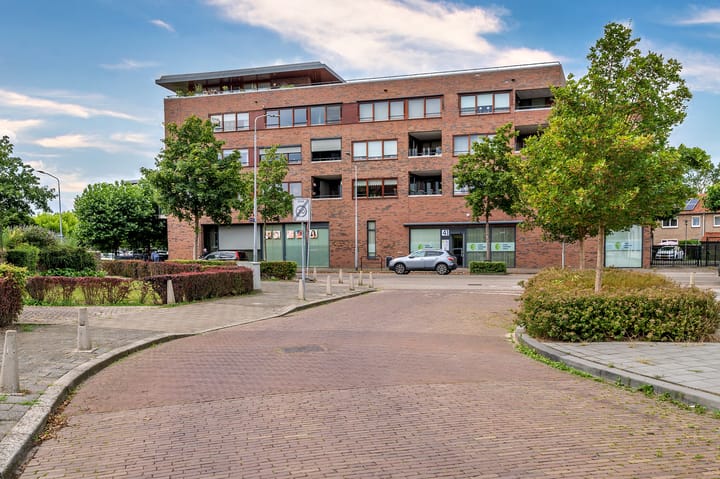 Photo 61 of Paulus Potterstraat 12