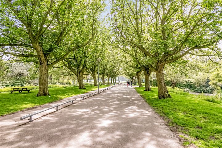 View photo 28 of Vreeswijkstraat 21