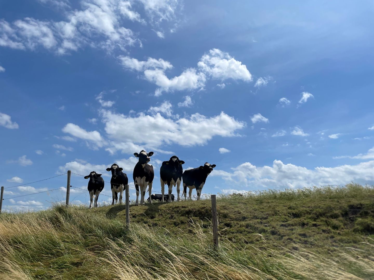 Foto 19 van Baalpapenweg 1-99