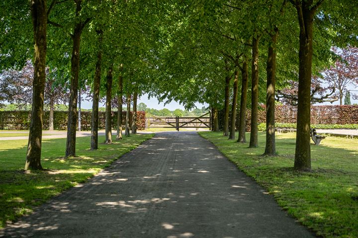 Bekijk foto 4 van Kapelstraat 12