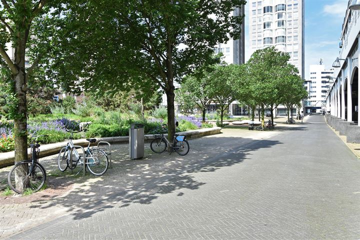 Bekijk foto 2 van Palaceplein 19