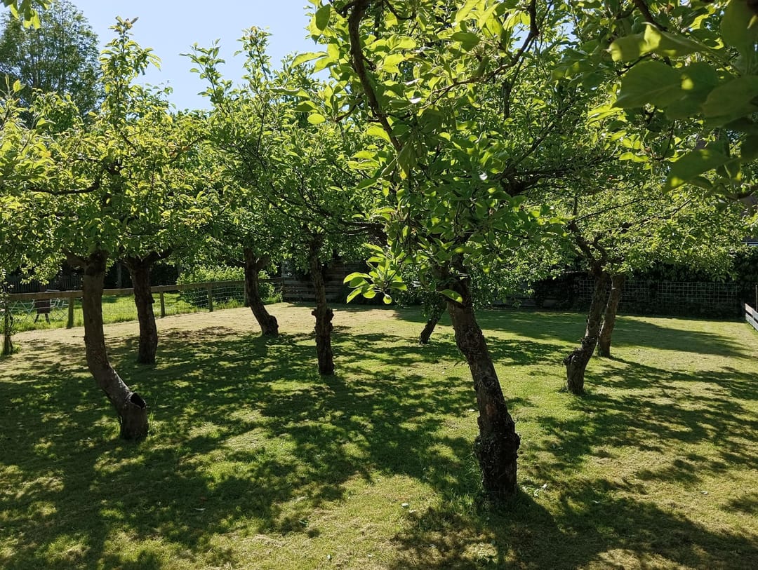 Foto 43 van J C Brouwersgracht 18