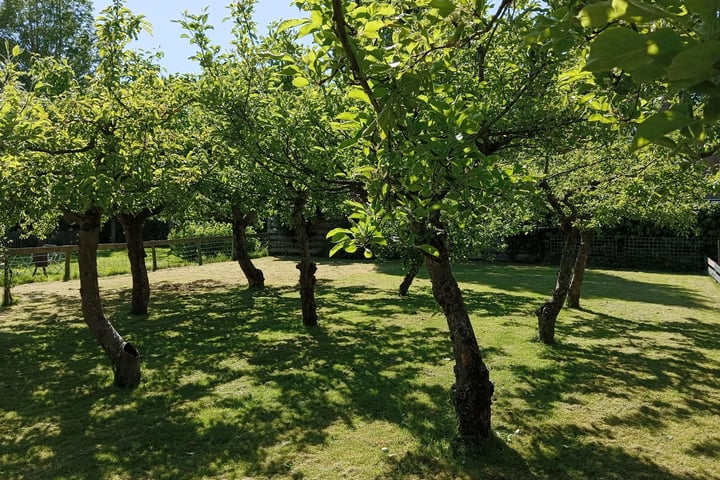 Foto 43 van J C Brouwersgracht 18