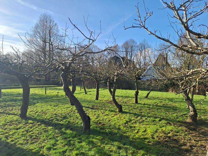 Foto 45 van J C Brouwersgracht 18