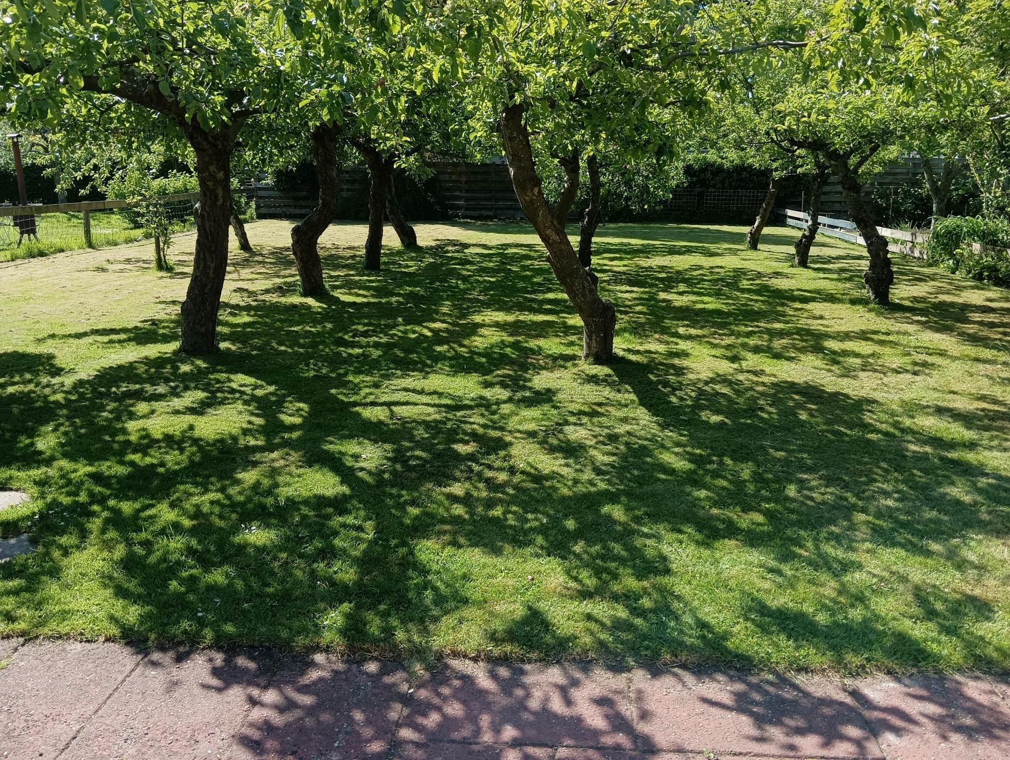 Foto 42 van J C Brouwersgracht 18