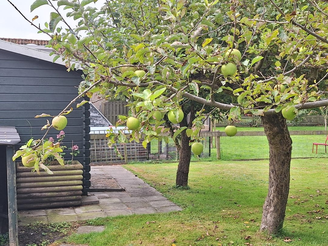 Foto 56 van J C Brouwersgracht 18