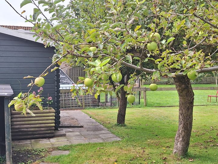 Foto 56 van J C Brouwersgracht 18