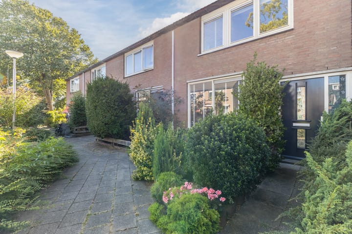 undefined main image