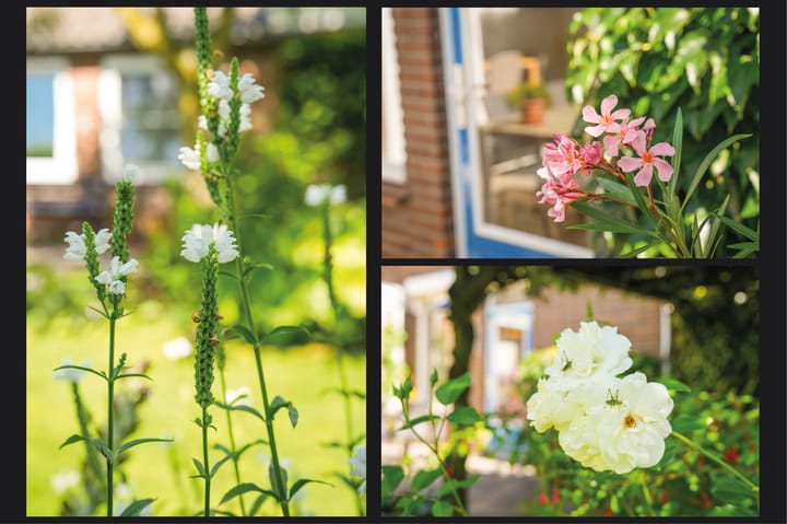 Foto 36 van Achterweg 7